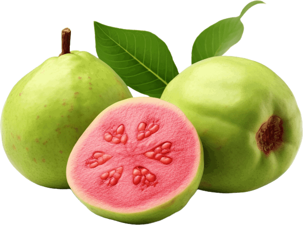 Guava fruit powder ingredient